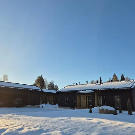Aurora Sky - 150m2 Villa, Sauna, 4bdr, Wi-fi, Parking * Rovaniemi