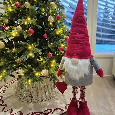 Aurora Sky With Private Sauna Villa *