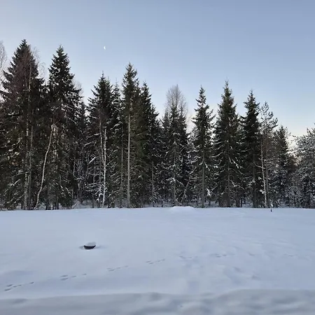 Aurora Sky With Private Sauna Rovaniemi