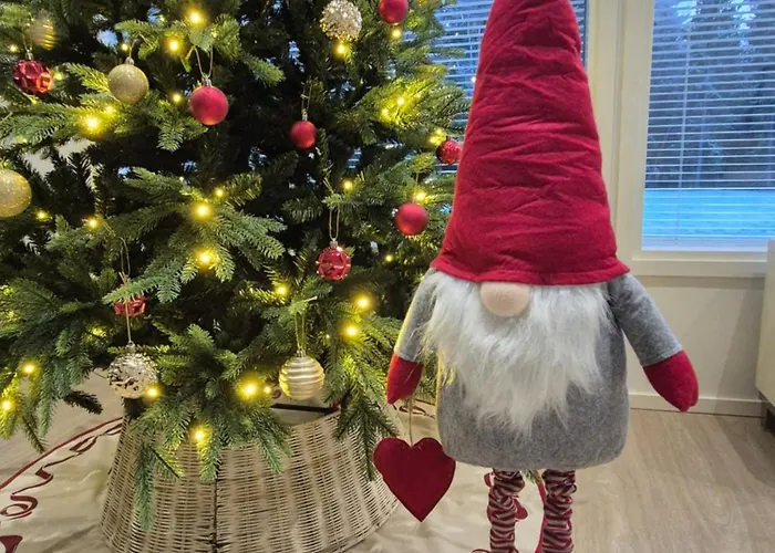 Aurora Sky With Private Sauna וילה *